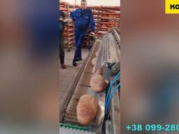 Конвеєрна лінія транспортування хліба