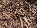 Кора соснова - фото 2