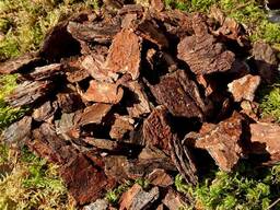 Кора соснова середня (3-6см. )