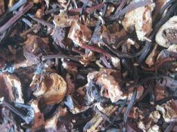 Корень лабазника (гадючник, таволга) вязолистого