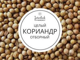 Семена кориандра