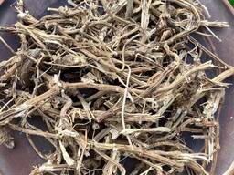 Корінь кропиви, кропива корень