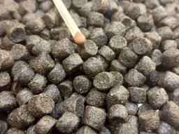 Корма для выращивания форели