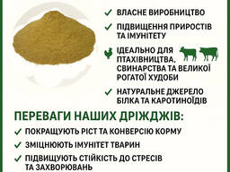 Кормові каротиноїдні дріжджі — продаж напряму від виробника