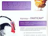 Кормовой пробиотик для животных и птиц Лавіпан - фото 3