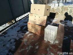 Коробки и лотки, упаковка для яиц, яєць