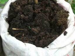 Коровий перегной (перепревший сухой навоз), мешок 50л
