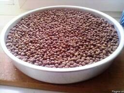 Косточка вишни(дикой)