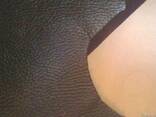 Кожа натуральная техническая и галантерейная - фото 3