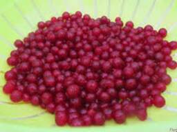 Красная смородина замороженная