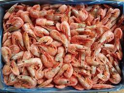 Креветка 90-120