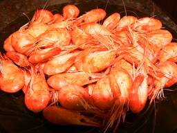 Креветка Азовская