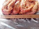 Креветка (дикая) Атлантическая , морепродукты из Аргентины - фото 2