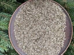 Кріп, насіння кропу, семена кропа