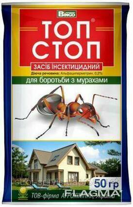 Топ Стоп Интернет Магазин