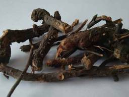 Кровохлебка корень 50 грамм