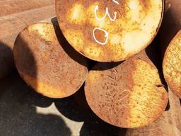 Круг, кругляк, ст45