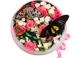 Круглая коробка с цветами и живыми бабочками