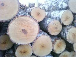 Кругляк Береза, Вільха