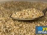 Крупа перлова та ячка оптом - фото 2
