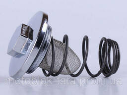 Крышка слива масла (пробка, масляный фильтр, пружина) . ..