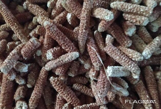 Кукурудзяні качани очищені