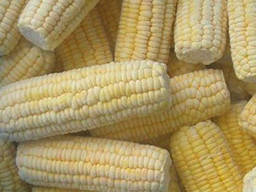 Кукуруза замороженная початок
