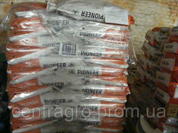 Семена кукурузы Пионер ПР39А61 ФАО 200