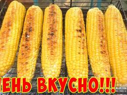 Кукуруза Сладких сортов