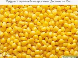 Кукуруза зерно "Оверленд"