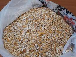 Кукурузу дробленую кормовую