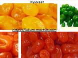 Кумкват Лимон, Лайм, Апельсин, Мандарин. Цукати, Сухофрукти оптом в роздріб - фото 1
