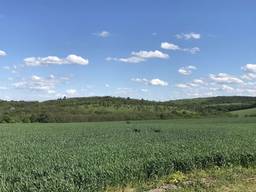 Купим фермерское хозяйство в Черкасской области