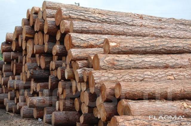 Купим на экспорт в Испанию лес, выслушаем все предложения. ..