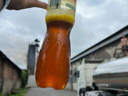 Продаемо масло подсонечное не раф 1 сорт
