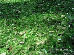 Купим стеклобой, хорошая цена