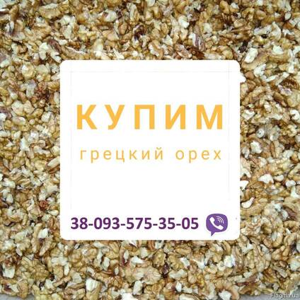 Купим ядро грецкого ореха