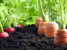 Купить чернозем - Продажа чернозема с доставкой Киев