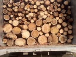 Купить дрова сосновые кругляк метровки, чурки по Киеву и области