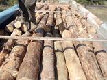 Купить дрова сосновые кругляк метровки, чурки по Киеву и области - фото 3
