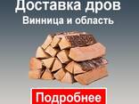 Купить дрова Винница с доставкой по области - фото 1