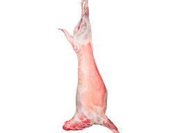 Куплю баранину молодняк