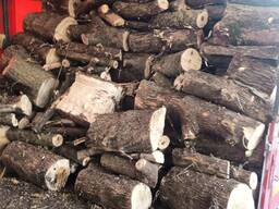 Куплю деревину на дрова або на дошку