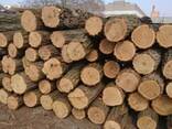 Куплю дрова!!! - фото 2