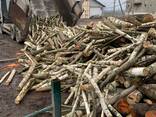 Куплю дрова - фото 1