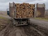 Куплю дрова - фото 3