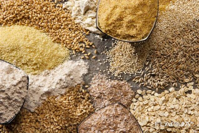 Куплю кукурудзу