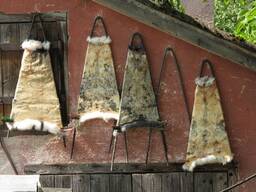 Куплю хутро бобра, зайця, кроля