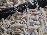 Куплю лапи курячі та купясу продукцію - фото 1