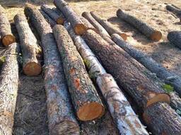 Куплю ліс кругляк береза вільха